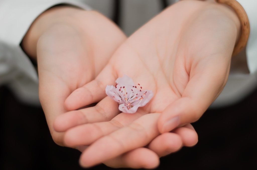 Para-Siempre-Uitvaartzorg-Werkwijze_pic